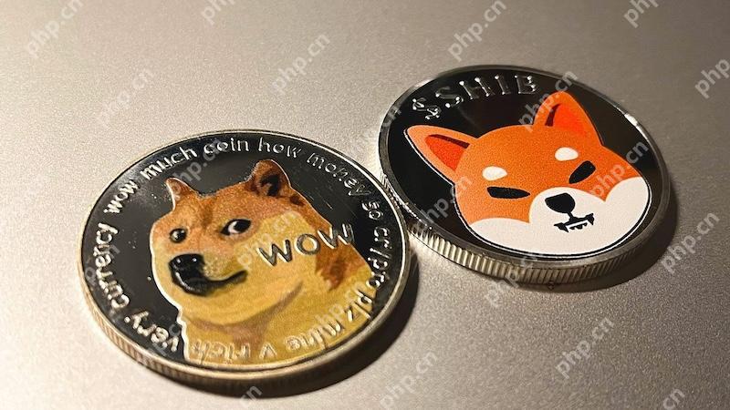 SHIB币价格今日行情_2025年1月SHIB币今日实时走势分析 - php中文网